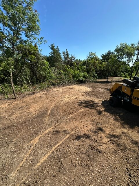 After: cleared, level trail once all stumps were ground down by Two Stump Chumps