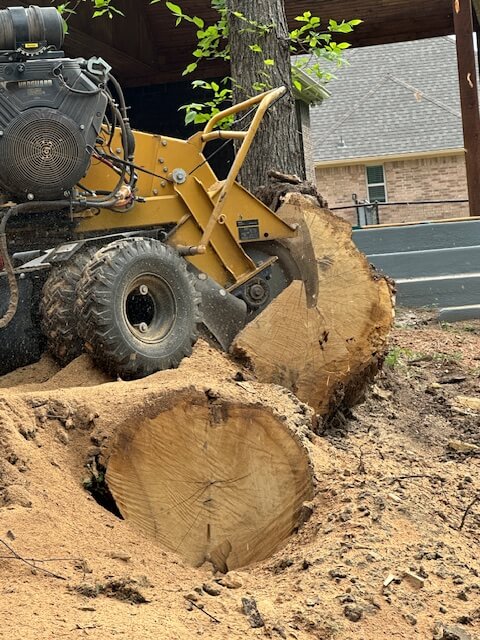Stump grinder cutting through a large tree stump